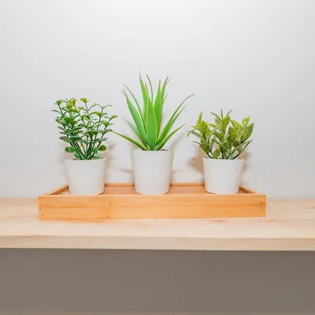 Ybh Pracer, 27 Appartement Vigo