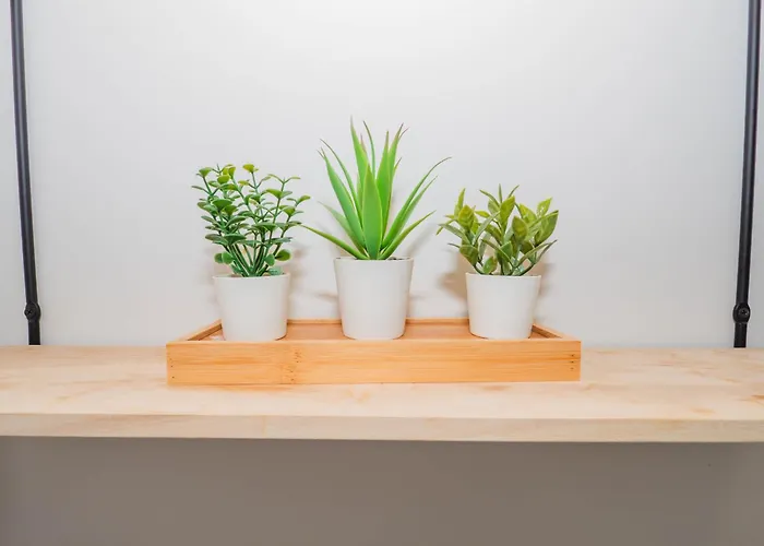 Ybh Pracer, 27 דירה ויגו